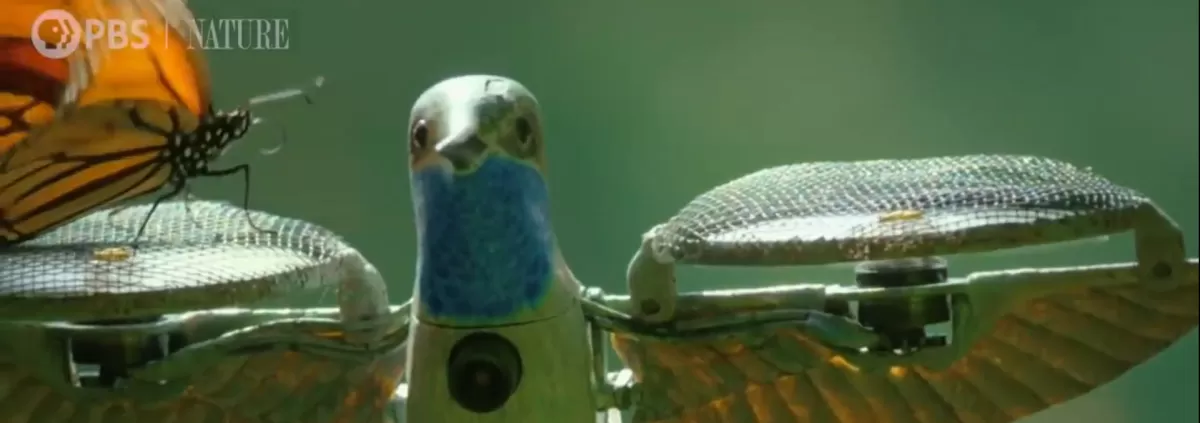 Beautiful disguised drone video opens up new worlds